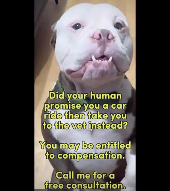 [Linked Image]