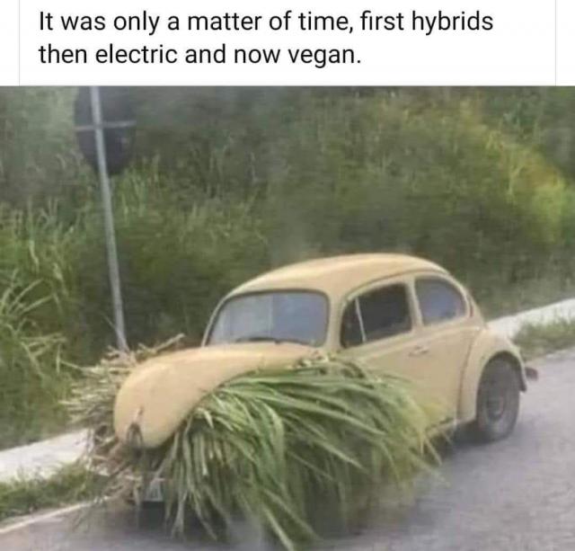 [Linked Image]