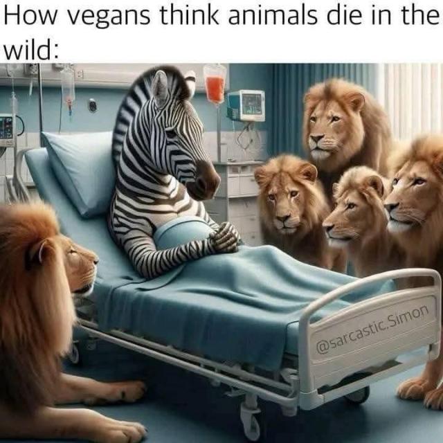 [Linked Image]