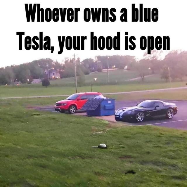 [Linked Image]