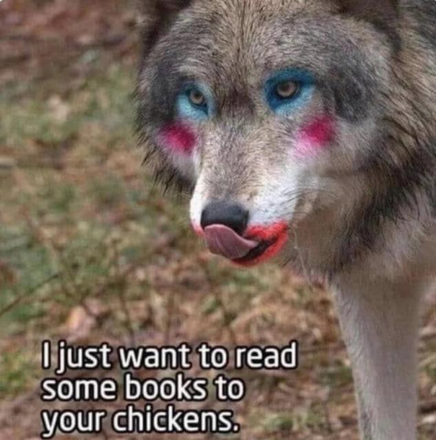 [Linked Image]