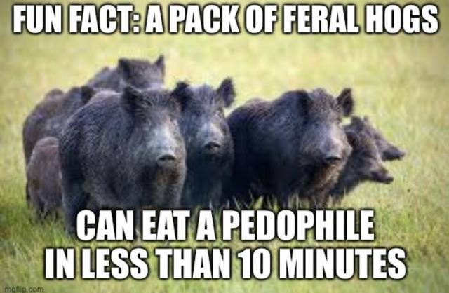 [Linked Image]