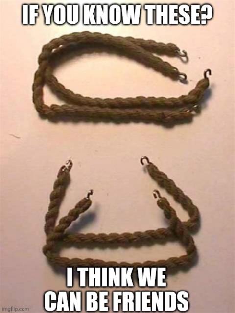 [Linked Image]