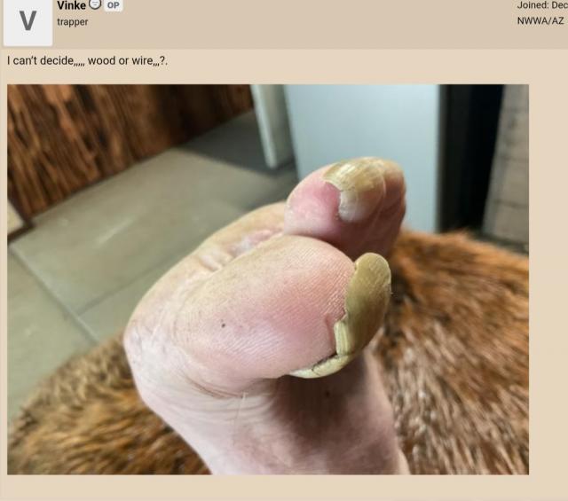 [Linked Image]