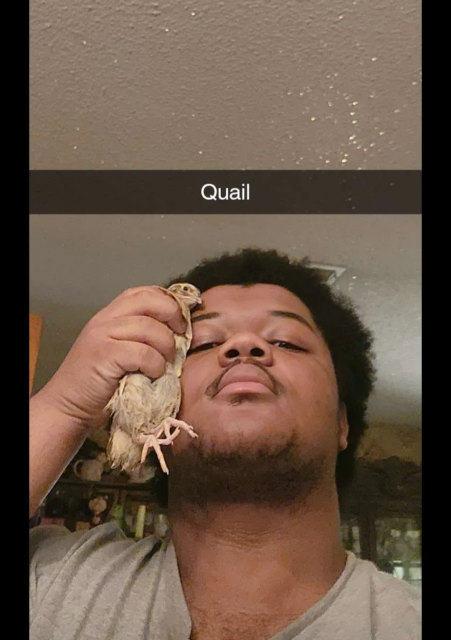 [Linked Image]