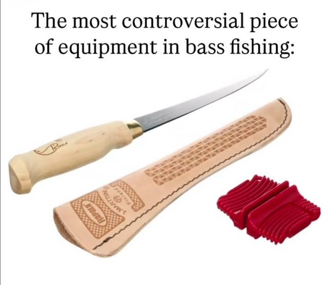 [Linked Image]