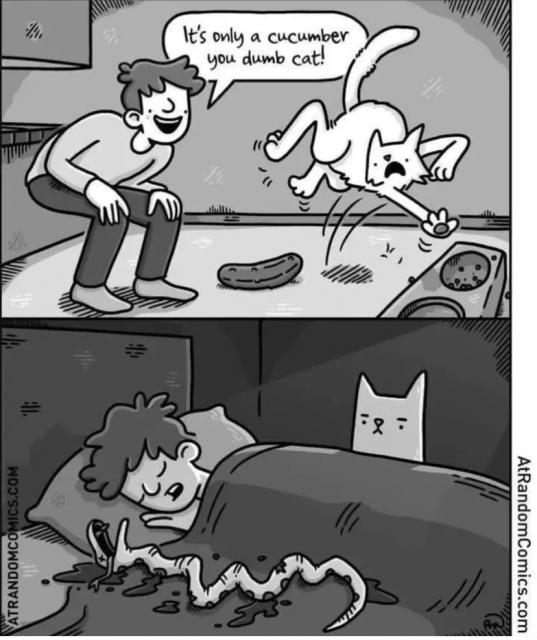 [Linked Image]
