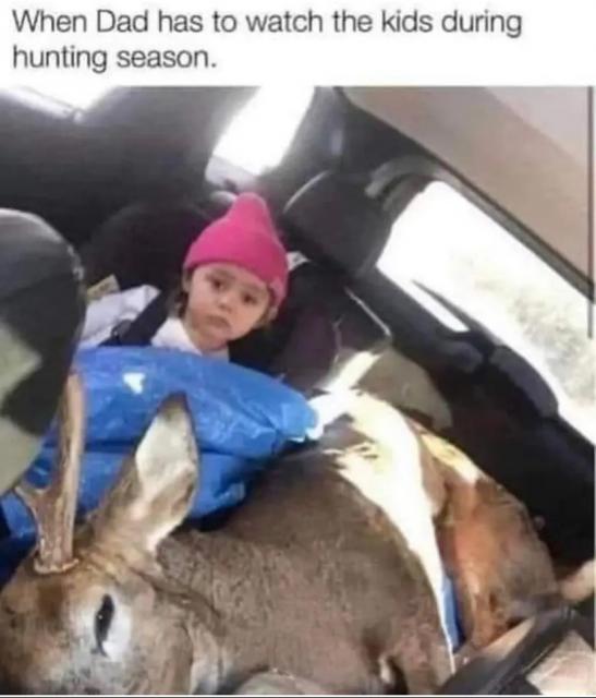 [Linked Image]
