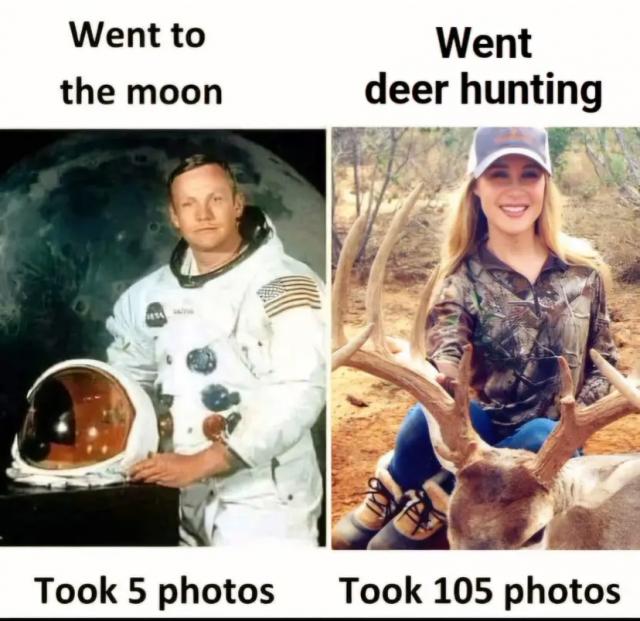 [Linked Image]