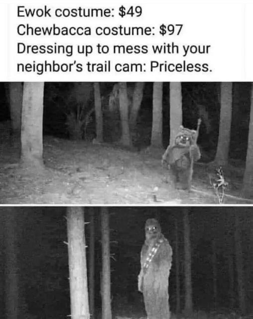 [Linked Image]