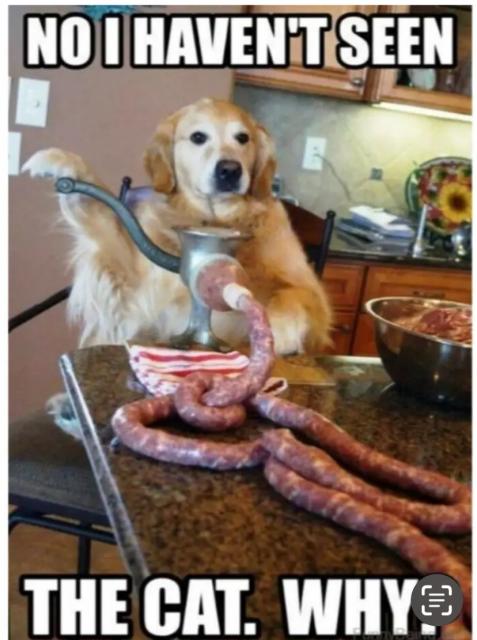 [Linked Image]