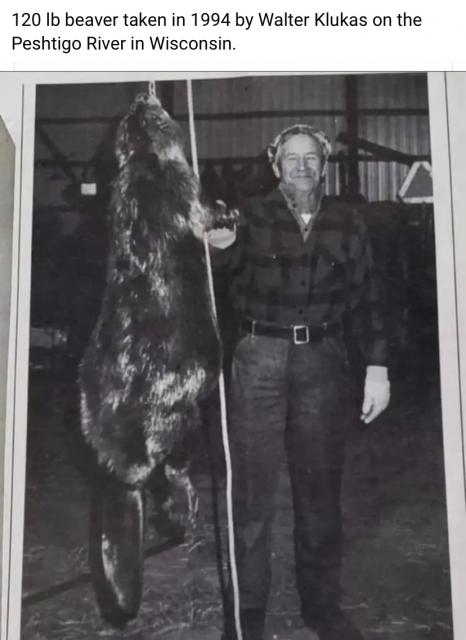 [Linked Image]