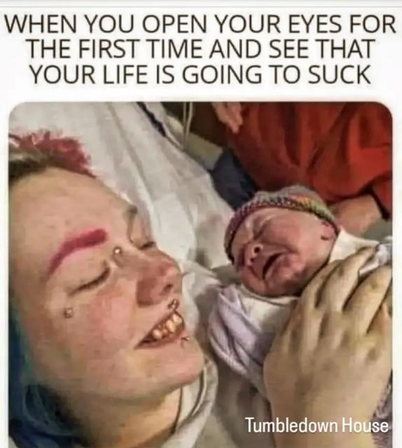 [Linked Image]
