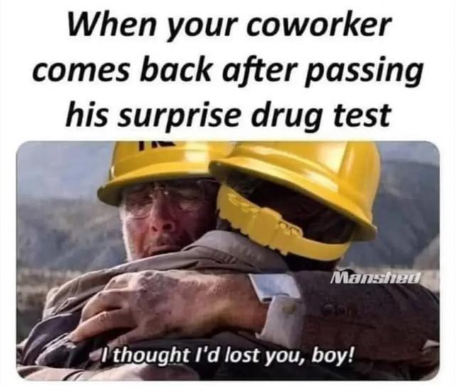 [Linked Image]