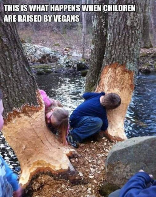 [Linked Image]