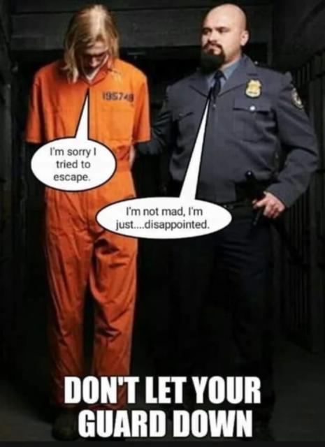 [Linked Image]