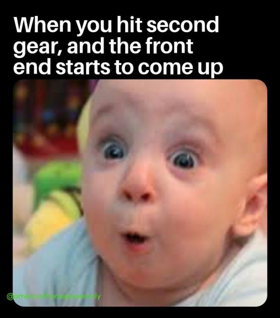 [Linked Image]