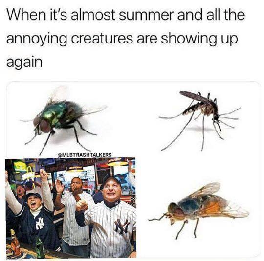 [Linked Image]