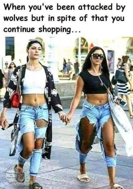 [Linked Image]