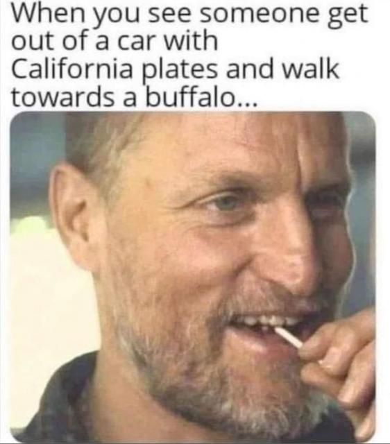 [Linked Image]