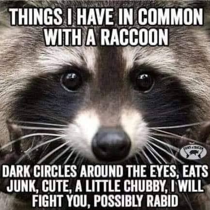 [Linked Image]