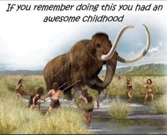 [Linked Image]