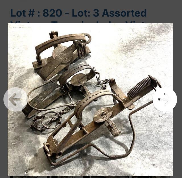 [Linked Image]