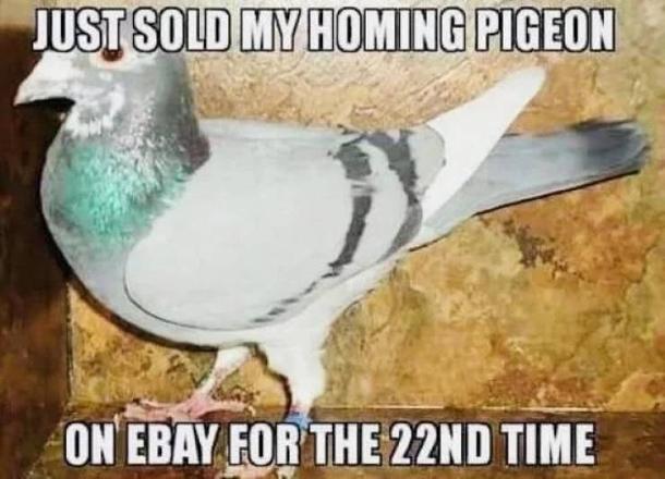 [Linked Image]