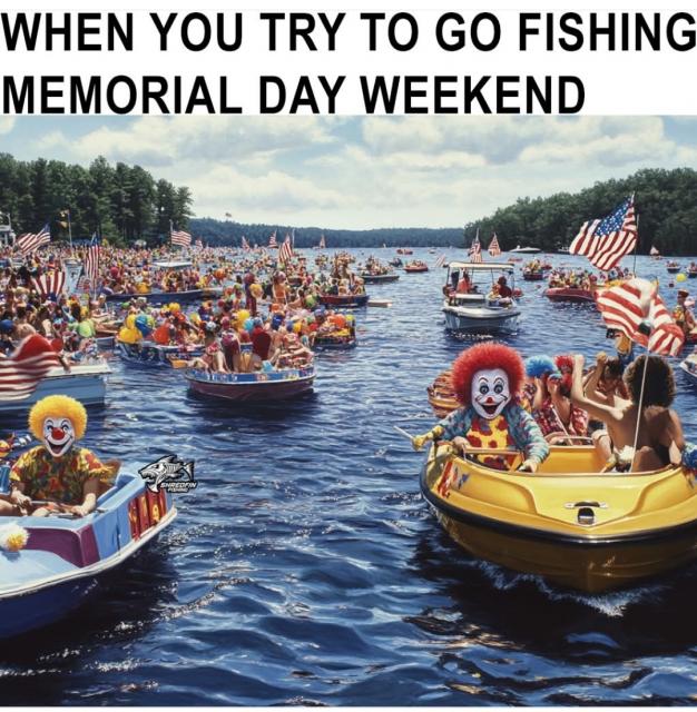 [Linked Image]