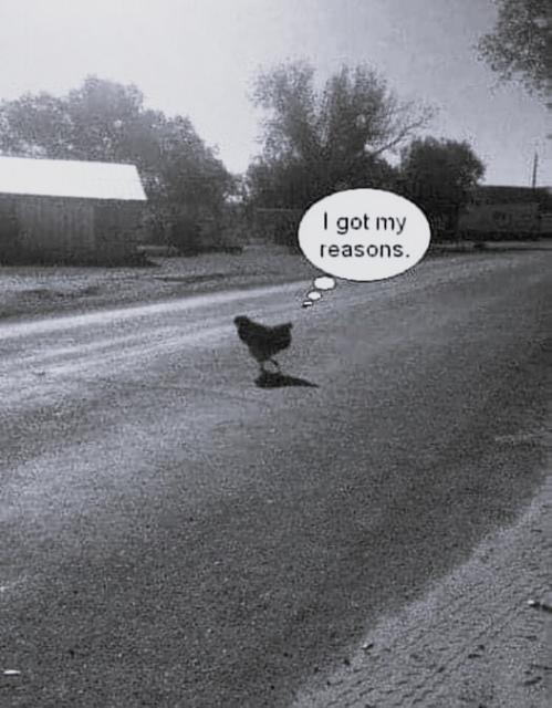 [Linked Image]