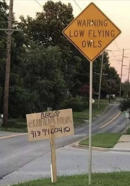 [Linked Image]