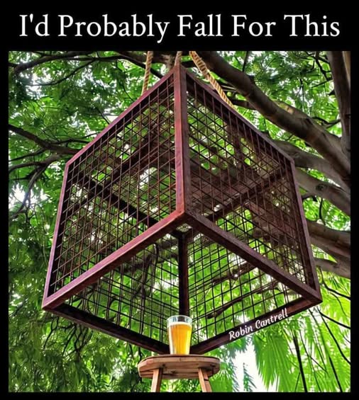 [Linked Image]
