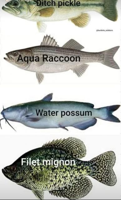 [Linked Image]