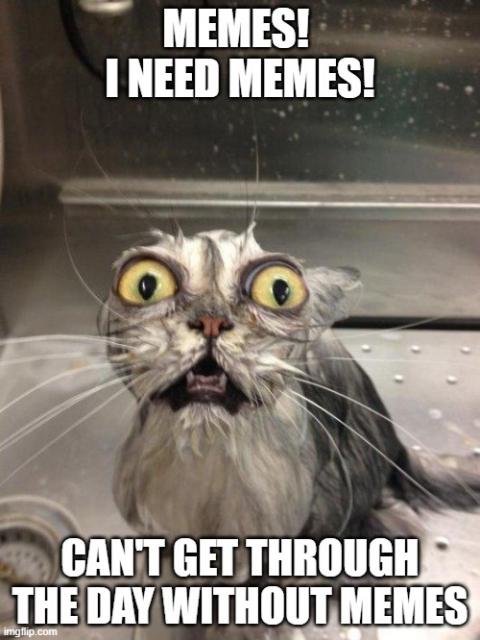 [Linked Image]