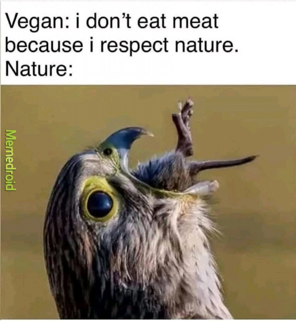 [Linked Image]