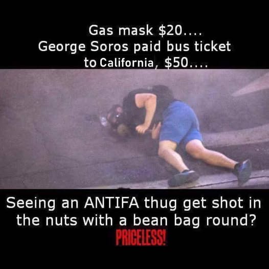 [Linked Image]