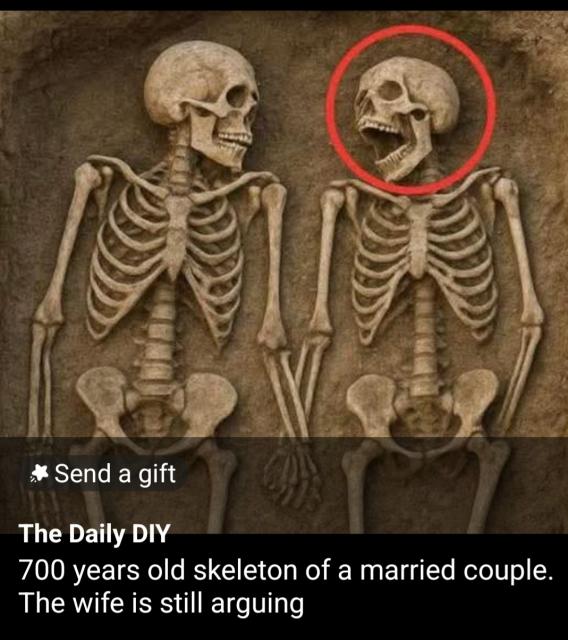 [Linked Image]