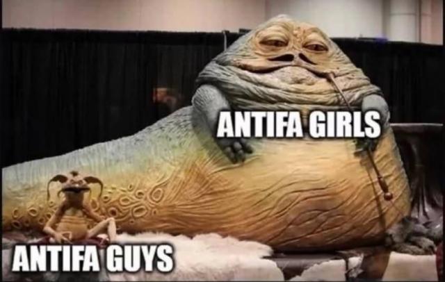 [Linked Image]