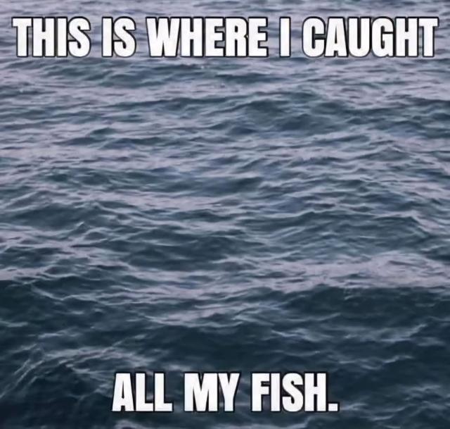 [Linked Image]