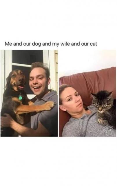 [Linked Image]