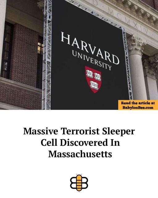 [Linked Image]