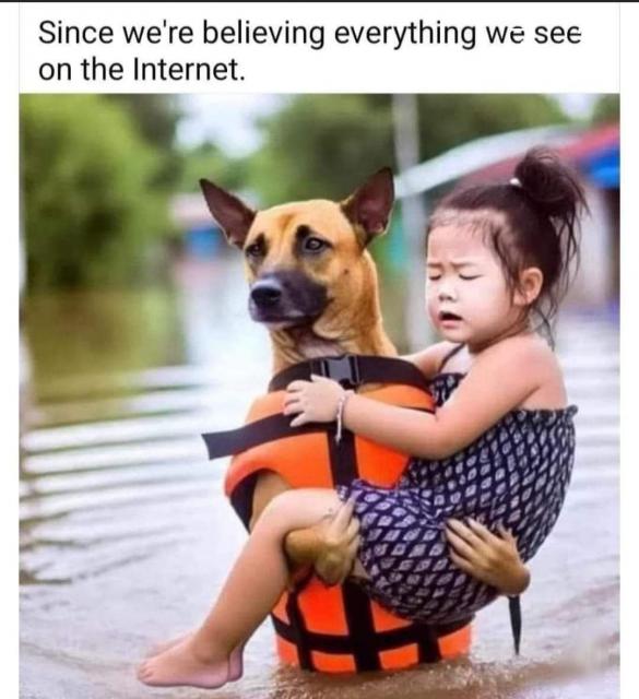 [Linked Image]