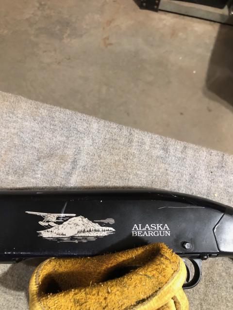 [Linked Image]