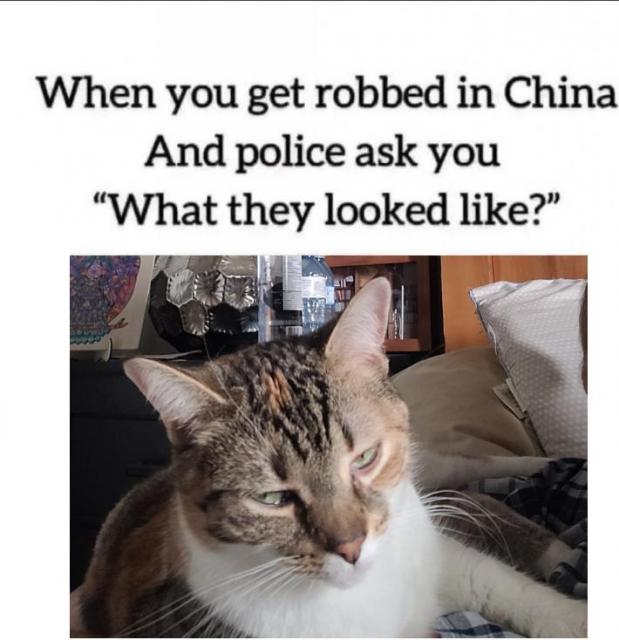 [Linked Image]