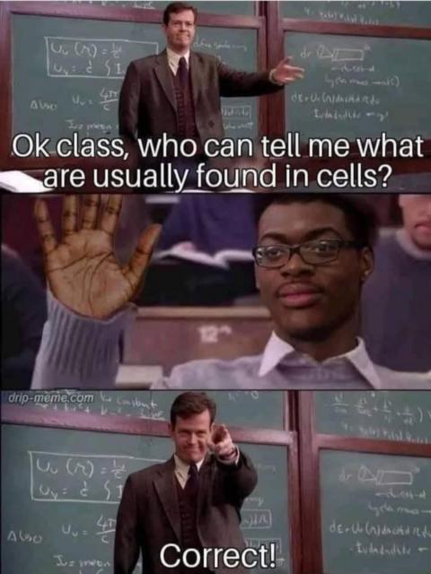 [Linked Image]