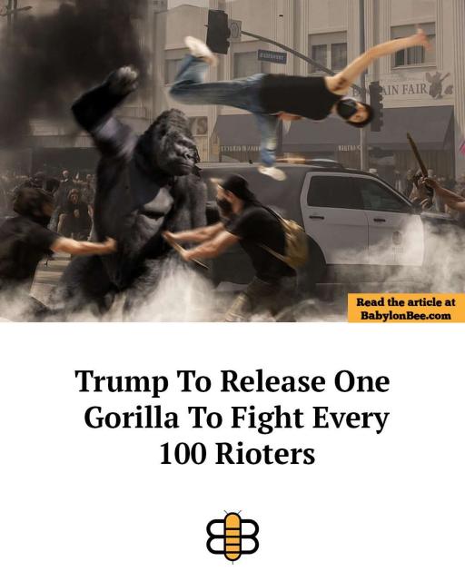 [Linked Image]