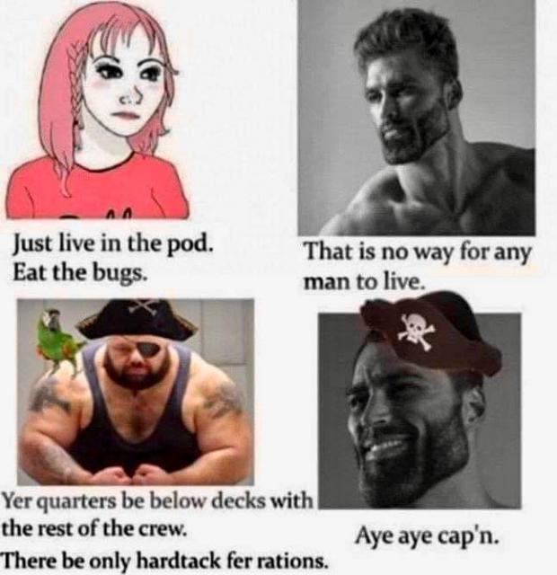 [Linked Image]