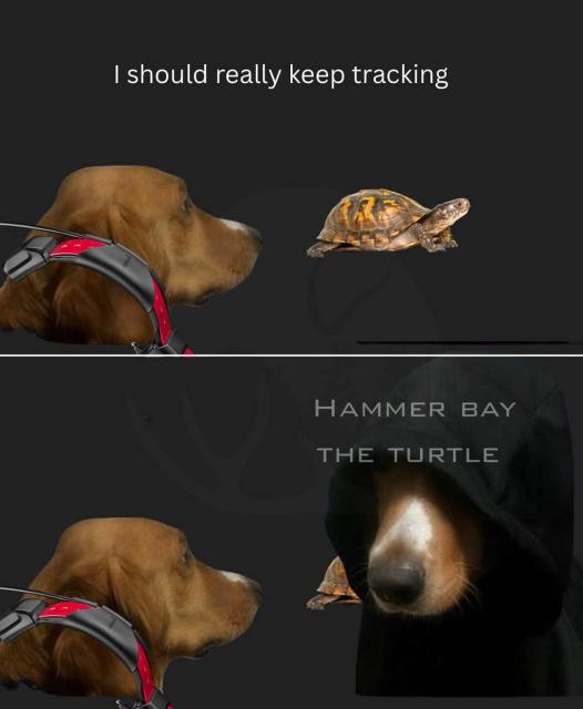 [Linked Image]