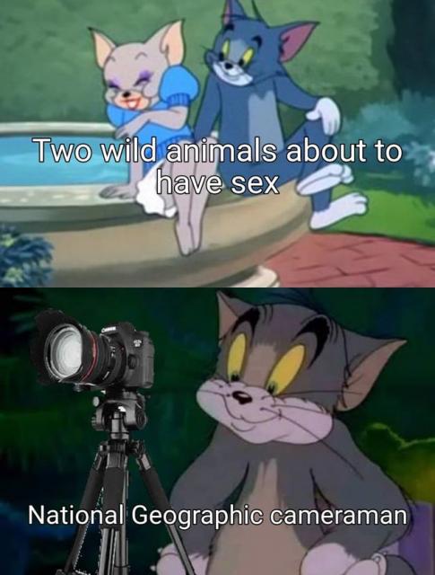 [Linked Image]