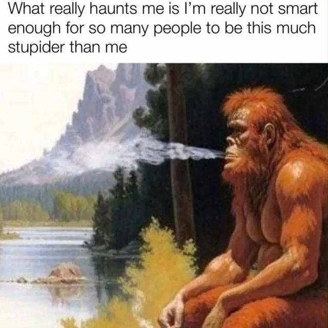 [Linked Image]